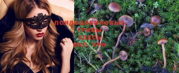 шишки Алексеевка
