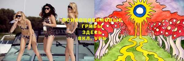 шишки Алексеевка
