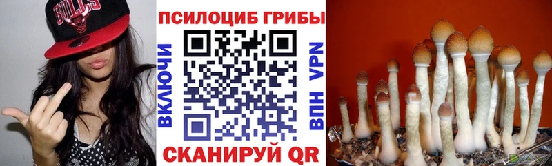 Псилоцибиновые грибы Magic Shrooms  магазин    площадка как зайти  Каменногорск 